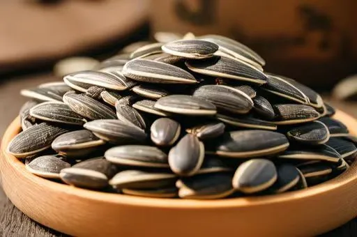 20240619094304_3136.png 20240619094304_3136.png