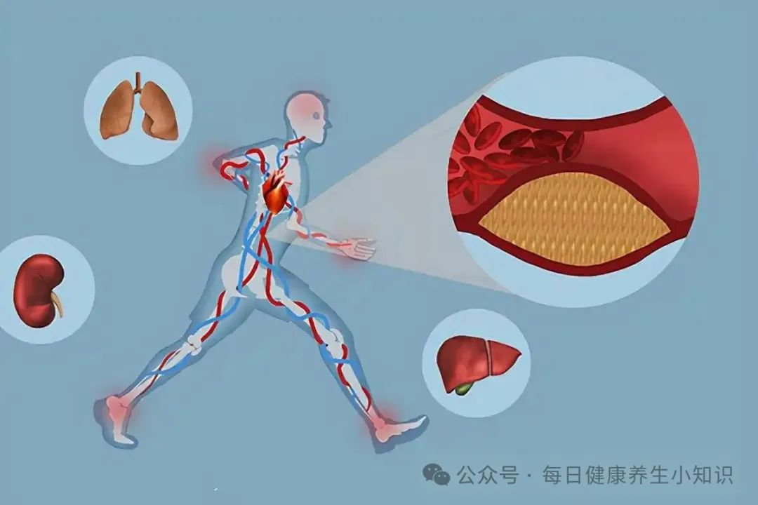 20241224103527_7140.png 20241224103527_7140.png