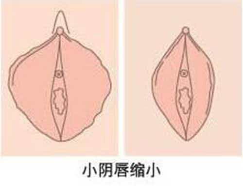 微信图片_20260304093121_53_208